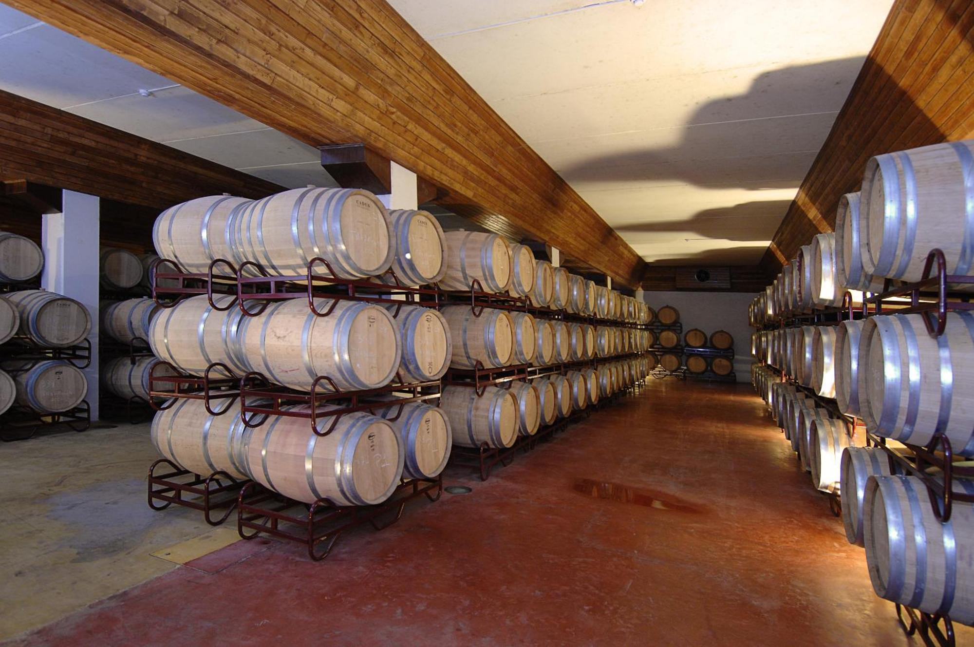 Vila Gale Alentejo Vineyard - Clube De Campo Albernoa Exterior foto