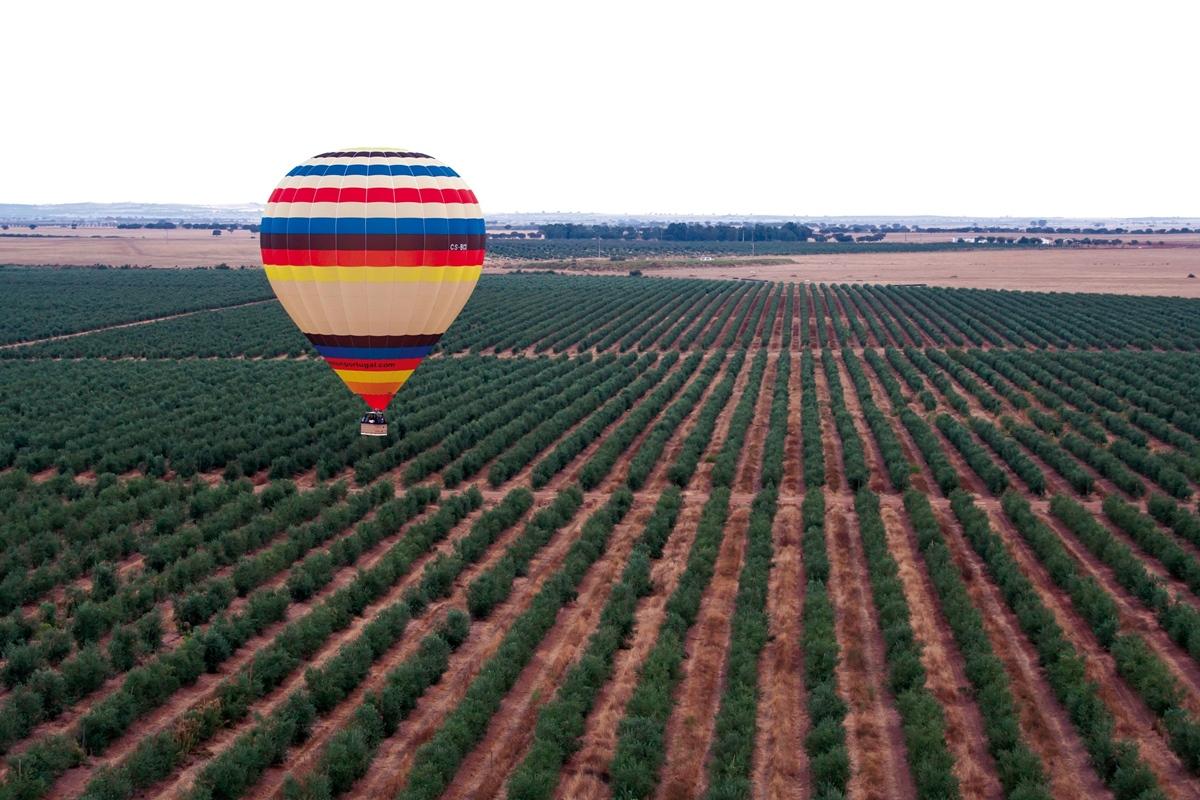 Vila Gale Alentejo Vineyard - Clube De Campo Albernoa Exterior foto